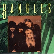 Eternal Flame by The Bangles