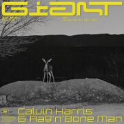 Giant by Calvin Harris feat. Rag'n'Bone Man