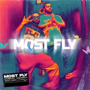 Most Fly (WowGr8 Remix) by Chubby Fly