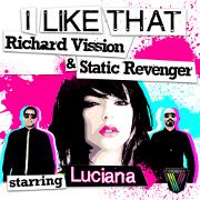 I Like That by Richard Vission And Static Revenger