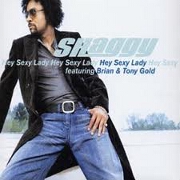 HEY SEXY LADY by Shaggy