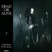 Something In My House by Dead or Alive