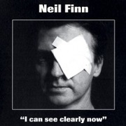 I CAN SEE CLEARLY NOW by Neil Finn
