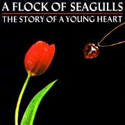 The Story Of A Young Heart by Flock of Seagulls