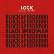 Black SpiderMan