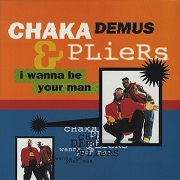 I Wanna Be Your Man by Chaka Demus & Pliers