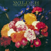 Wilder by The Teardrop Explodes