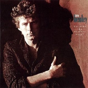Building The Perfect Beast by Don Henley