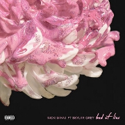 Bed Of Lies by Nicki Minaj feat. Skylar Grey
