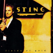 Fields Of Gold by Sting
