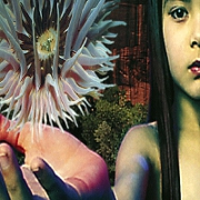 Lifeforms by Picture Sound of London