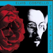 Mighty Like A Rose by Elvis Costello