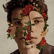 Like To Be You by Shawn Mendes feat. Julia Michaels