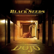 Into The Dojo by The Black Seeds