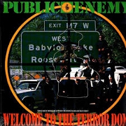 Welcome To The Terrordrome by Public Enemy