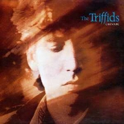 Calenture by The Triffids