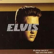 RUBBERNECKIN (PAUL OAKENFOLD REMIX) by Elvis Presley