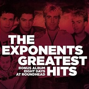Why Does Love Do This To Me? The Greatest Hits (Deluxe Edition) by The Exponents