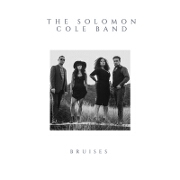 Bruises by The Solomon Cole Band