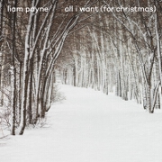 All I Want (For Christmas) by Liam Payne