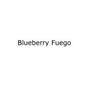 Blueberry Fuego by Yeezys Activist