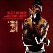 I KNOW WHAT YOU WANT by Busta Rhymes