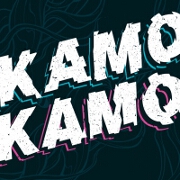 Kamo Kamo by Fat Freddy's Drop