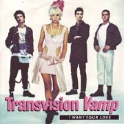 I Want Your Love by Transvision Vamp