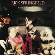 Success Hasn't Spoiled Me Yet by Rick Springfield