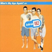 WHAT'S MY AGE AGAIN? by Blink 182