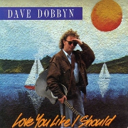 Love You Like I Should by Dave Dobbyn