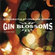 Congratulations I'm Sorry by Gin Blossoms