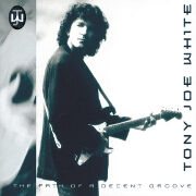 Path Of Decent Groove by Tony Joe White