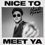 Nice To Meet Ya by Niall Horan