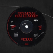 vicious by Tate McRae feat. Lil Mosey