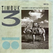 The Future's So Bright by Timbuk 3