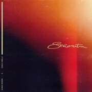 Senorita by Shawn Mendes And Camila Cabello
