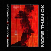 More Than OK by R3HAB And Frank Walker feat. Clara Mae