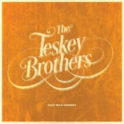 I Get Up by The Teskey Brothers