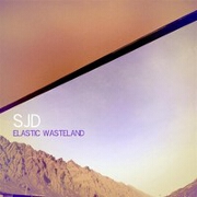 Elastic Wasteland by SJD