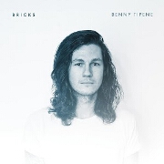 Bricks by Benny Tipene