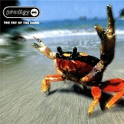 The Fat Of The Land by The Prodigy