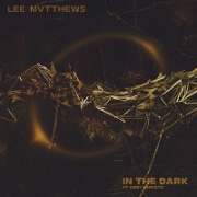 In The Dark by Lee Mvtthews feat. Abby Christo