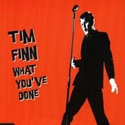 WHAT YOU'VE DONE by Tim Finn