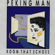 Room That Echoes by Peking Man