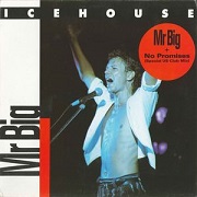 Mr Big by Icehouse