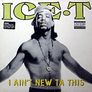 I Ain't New Ta This by Ice-T