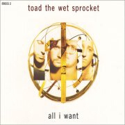 All I Want by Toad The Wet Sprocket
