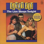 The Lion Sleeps Tonight by Tight Fit