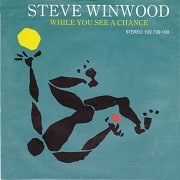 While You See A Chance by Steve Winwood
